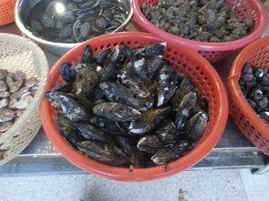 福利海鲜第二季在线观看,海鲜盛宴再升级，美味生活尽在掌握