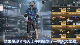 穿越火线3d福利在线看,在线观看畅享极致射击体验