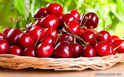 樱桃福利片在线下载,独家下载，尽享视觉盛宴